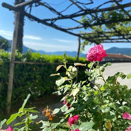 With Stunning Views To Lake Maggiore